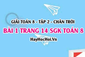 Bài 1 trang 14 Toán 8 Tập 2 Chân trời sáng tạo: Hệ Trục Tọa Độ